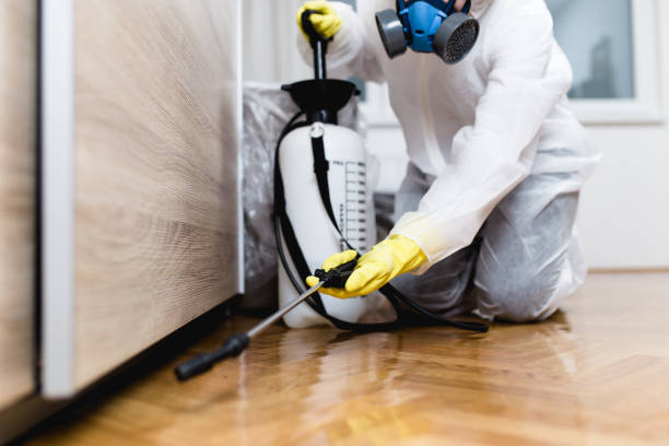 Best Flea Control Services  in Blacksburg, VA