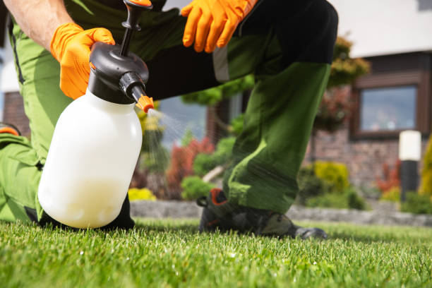 Best Best Pest Control Companies  in Blacksburg, VA