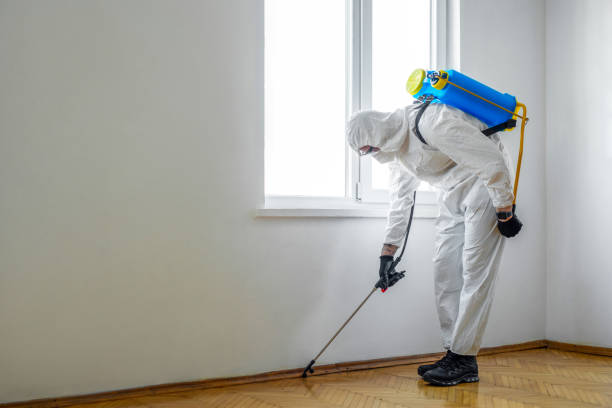 Best Pest Control Near Me  in Blacksburg, VA