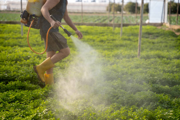 Best Pest Removal Services  in Blacksburg, VA
